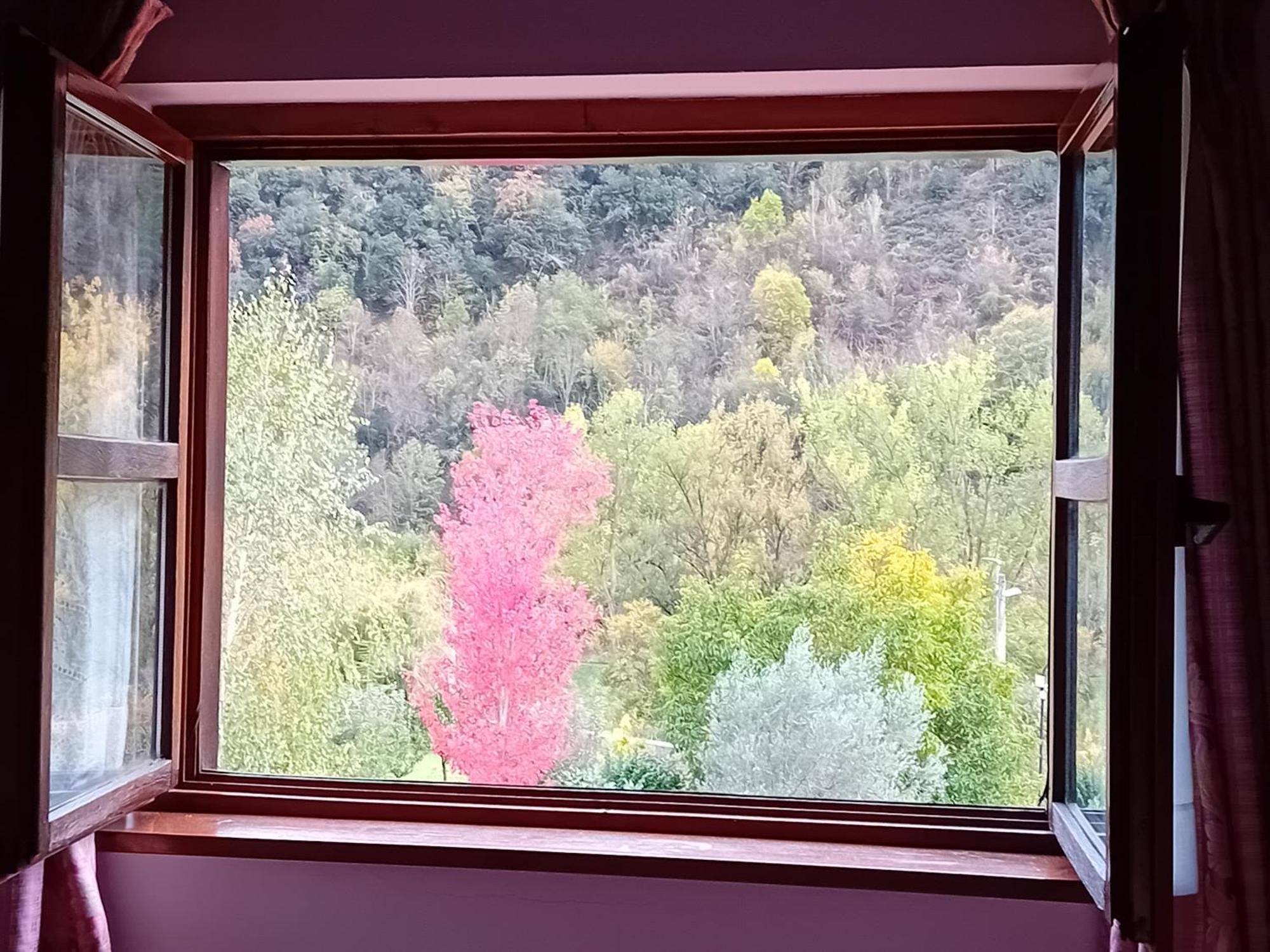 Picos De Europa Suites And Rooms Turieno Exterior photo