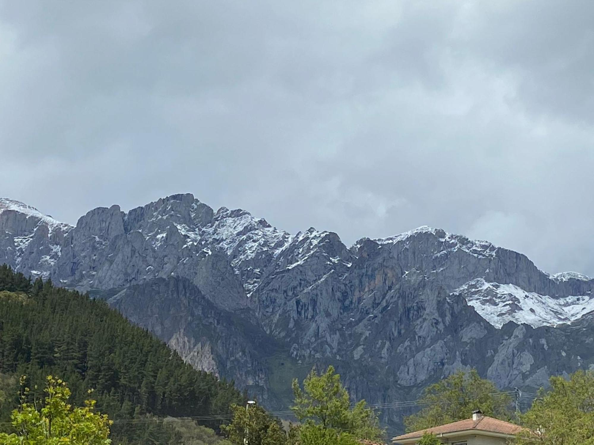 Picos De Europa Suites And Rooms Turieno Exterior photo