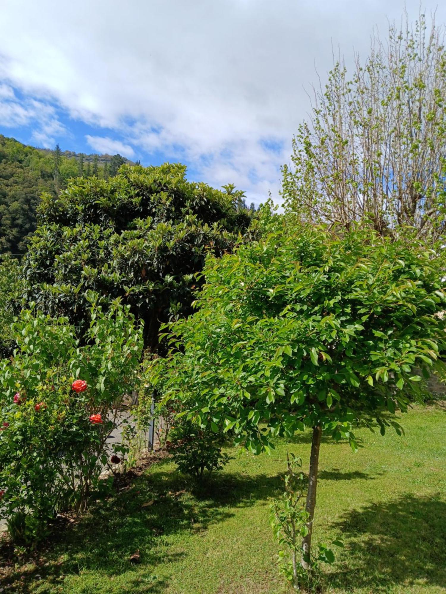 Picos De Europa Suites And Rooms Turieno Exterior photo
