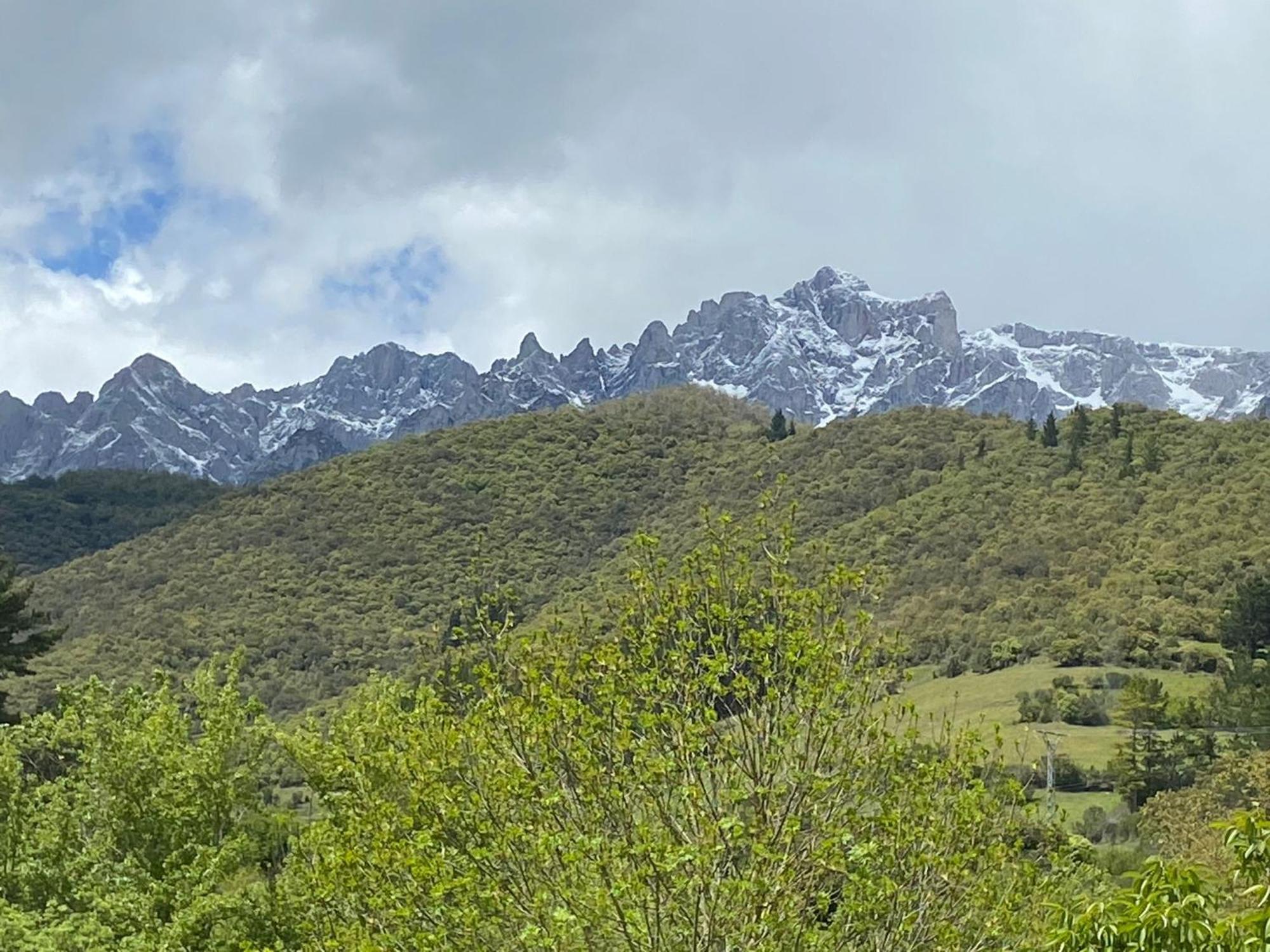 Picos De Europa Suites And Rooms Turieno Exterior photo