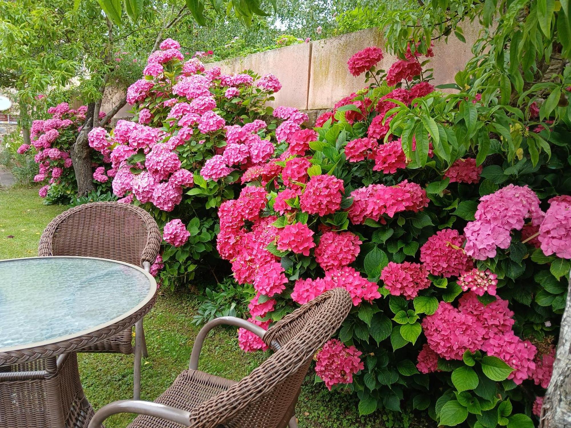 Picos De Europa Suites And Rooms Turieno Exterior photo